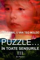 teo moldovan puzzle vol 3